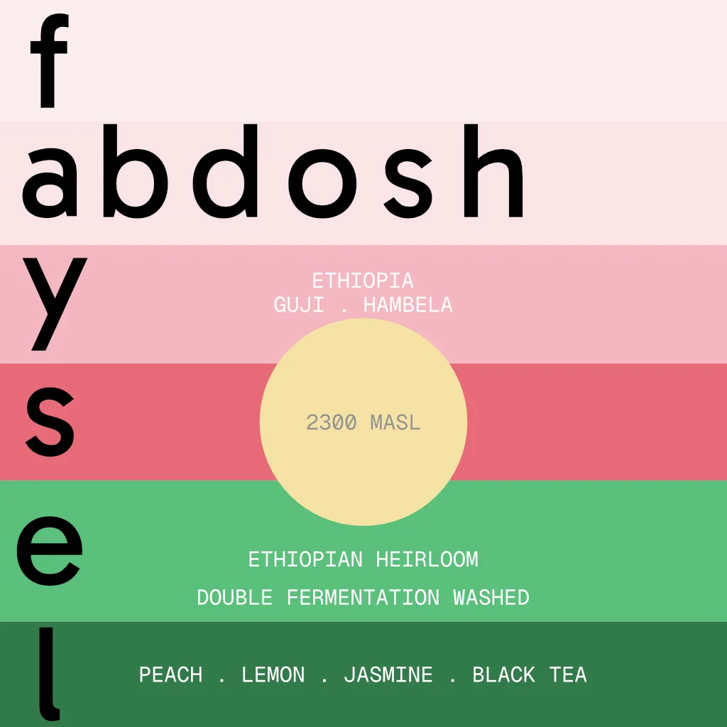 Faysel Abdosh Double Fermentation Washed - 100g