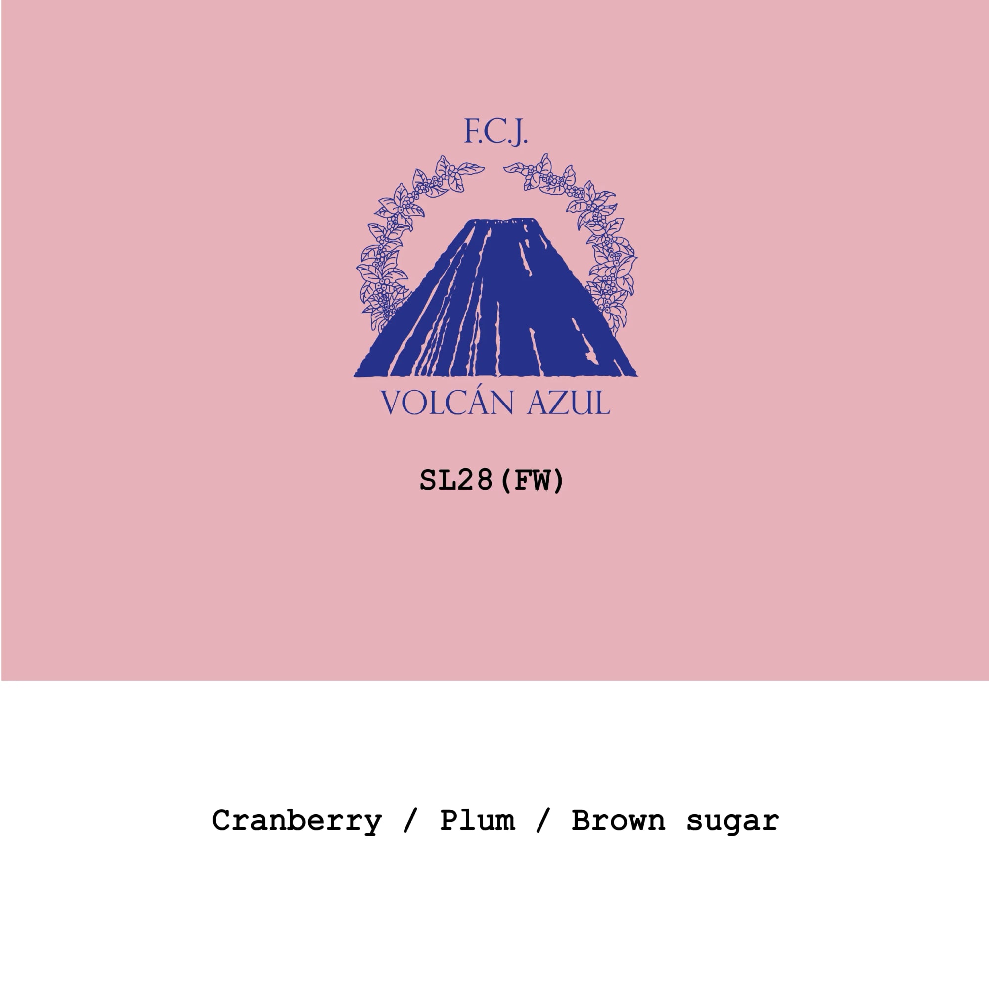 Costa Rica Volcan Azul SL28 Fully Washed - 100g