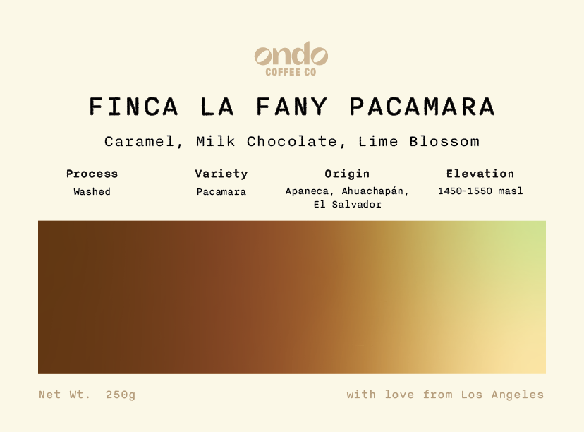 El Salvador La Fany Pacamara Washed - 250g