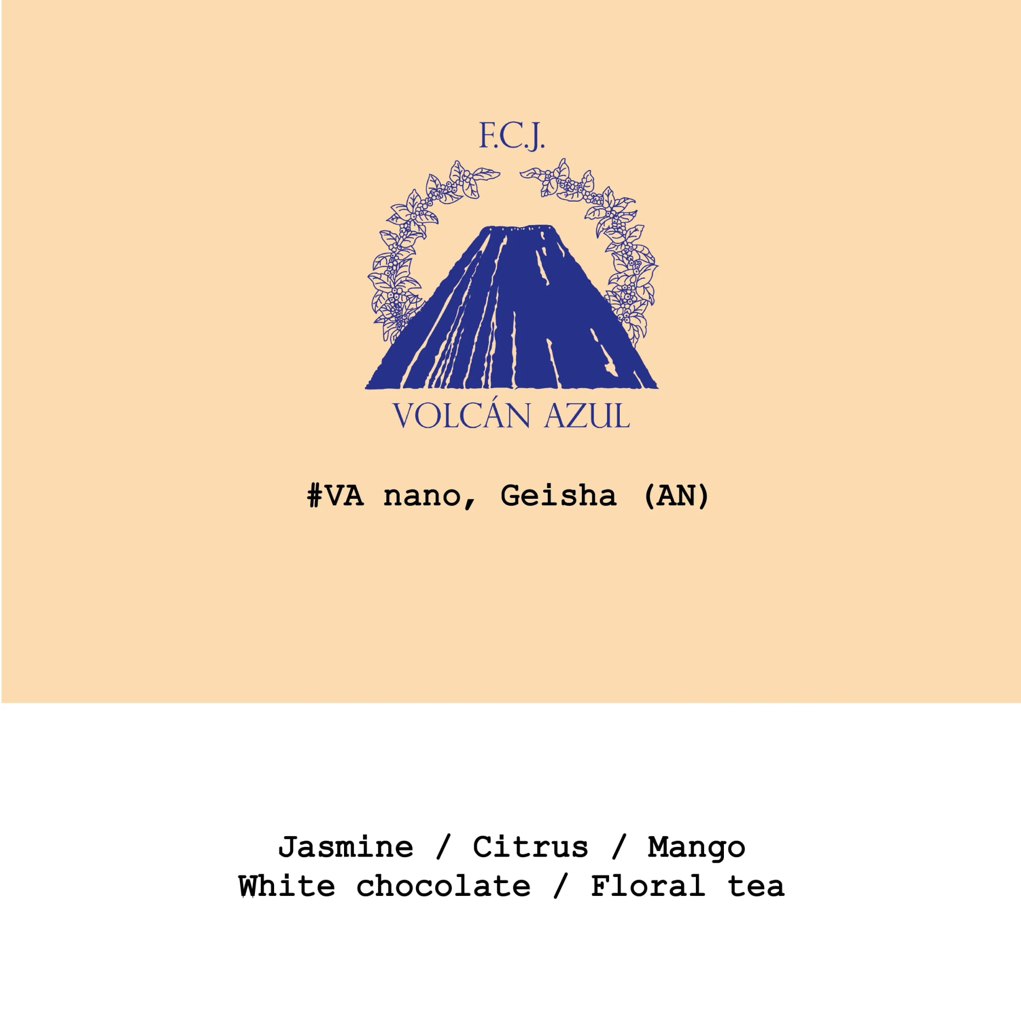 Costa Rica Volcan Azul Geisha Anaerobic Natural #VA Nano - 100g