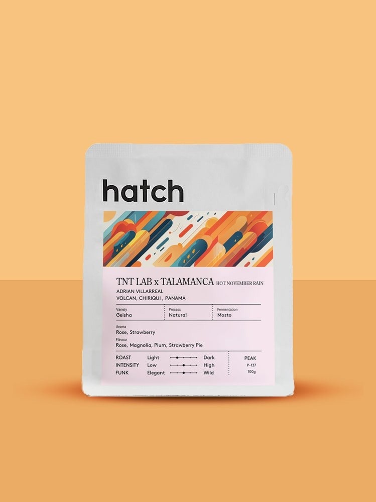 TNT Lab × Talamanca — Hot November Rain Geisha Natural - 100g