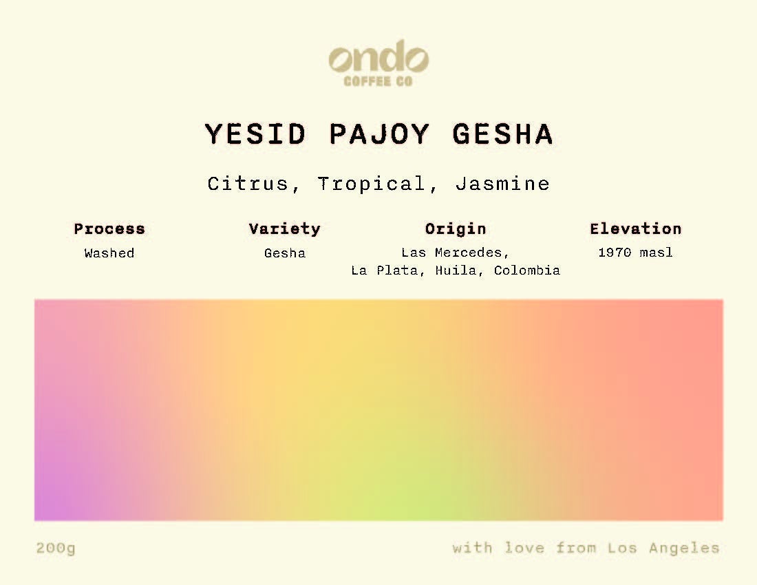 Colombia Yesid Pajoy Washed Gesha - 200g