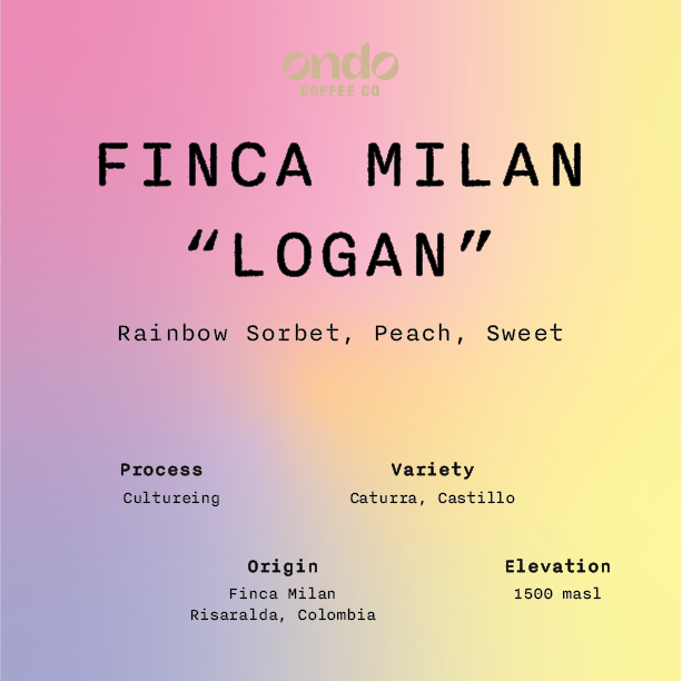 Finca Milan "Logan" - 200g