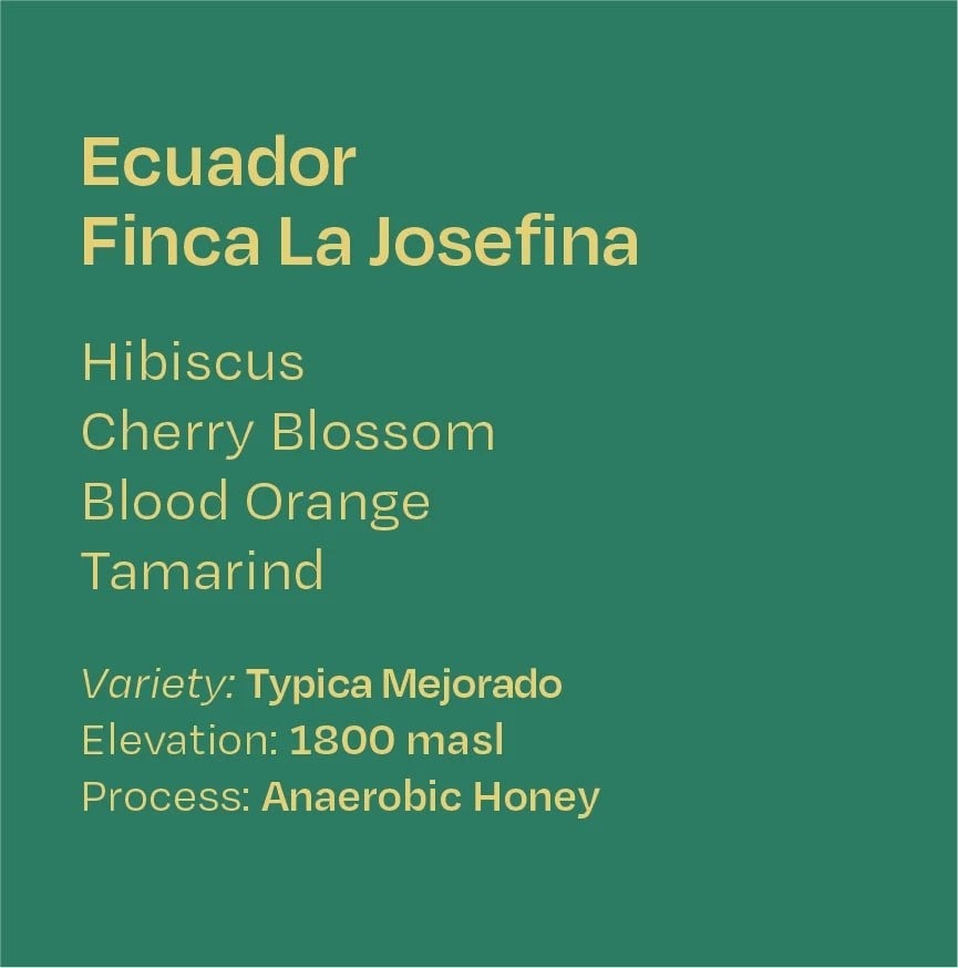 Ecuador Finca La Josefina Typica Mejorado Anaerobic Honey - 100g