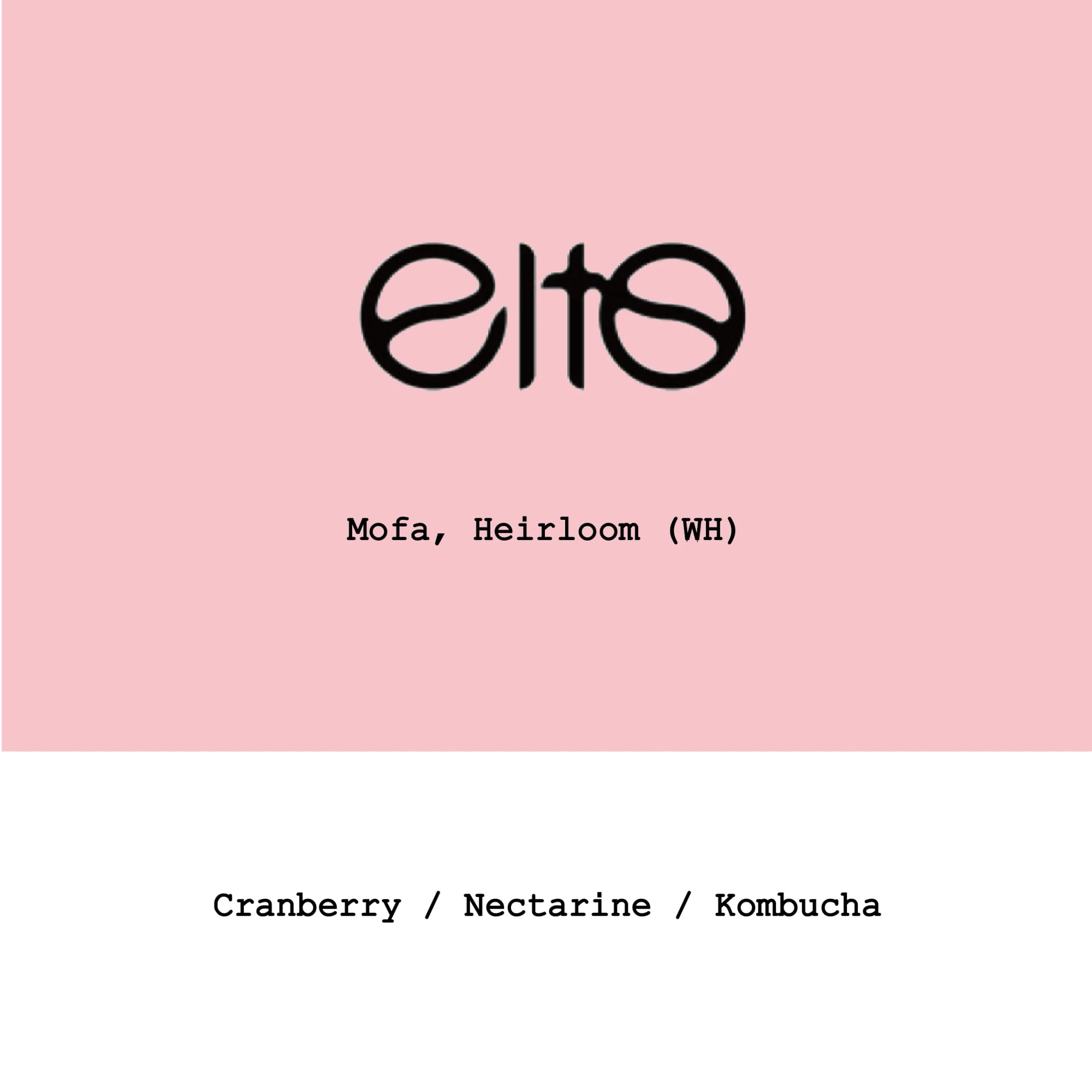 Ethiopia Elto Mofa Heirloom Washed Honey - 100g