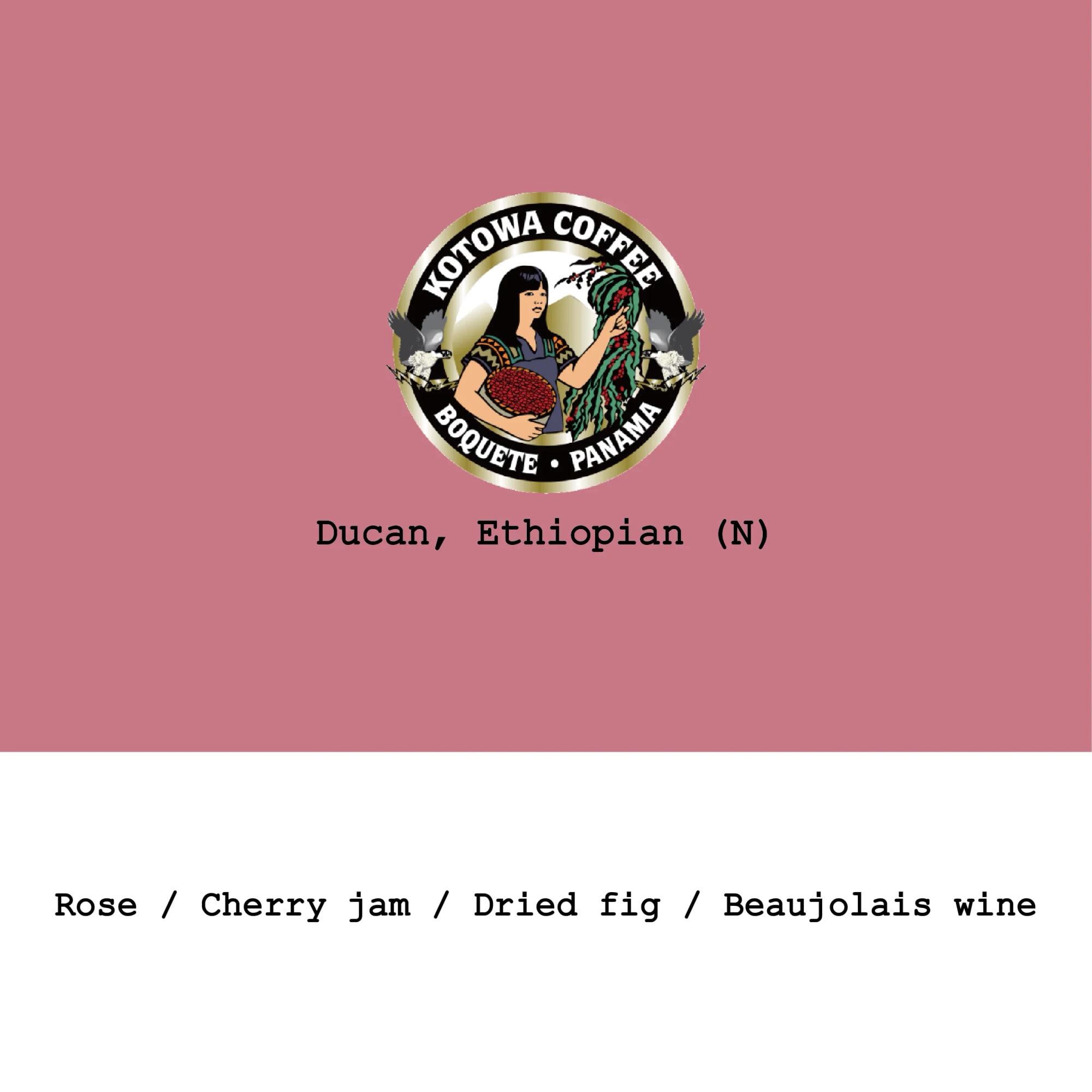 Panama Kotowa Duncan Ethiopian Heirloom Natural - 100g