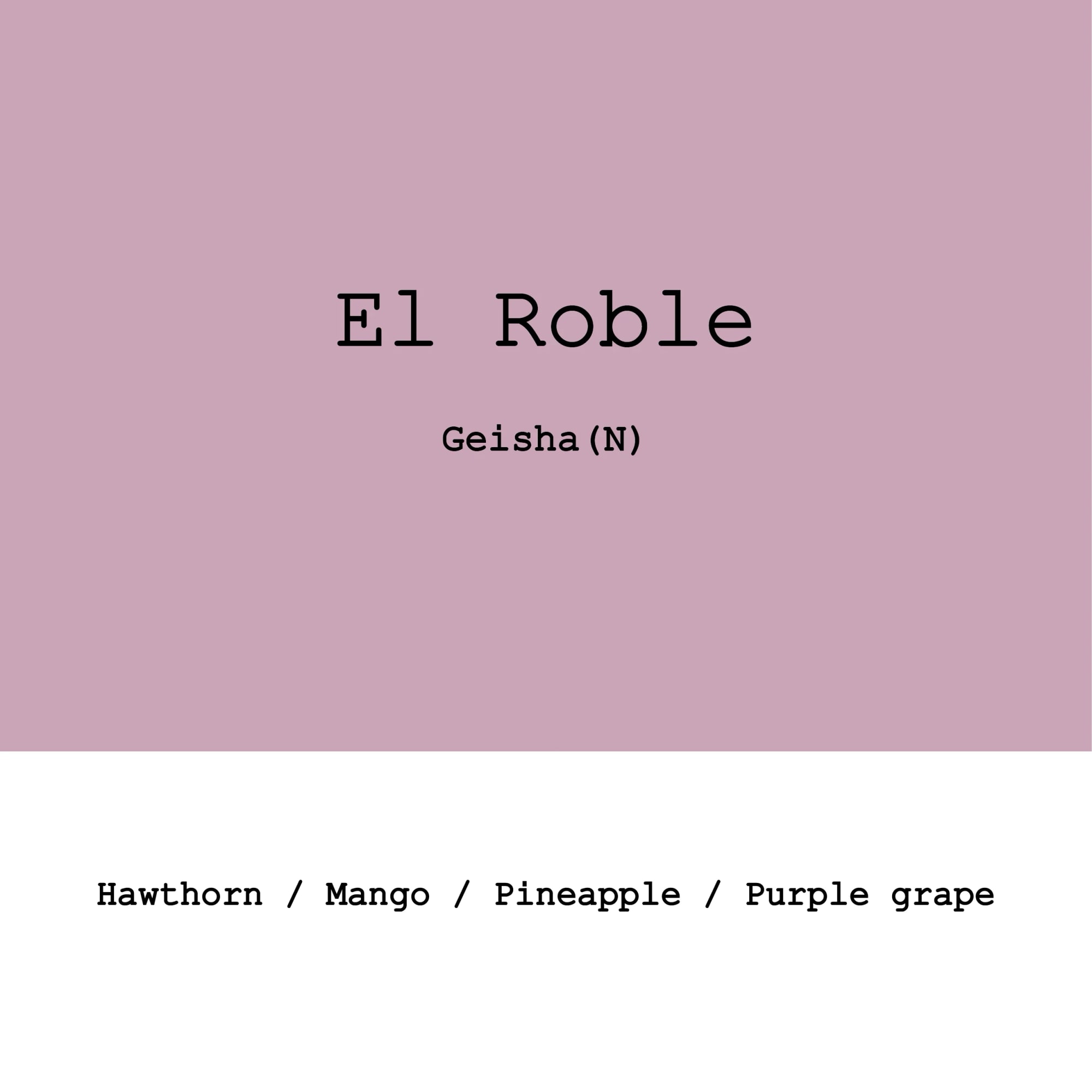 Colombia El Roble Geisha Natural - 100g