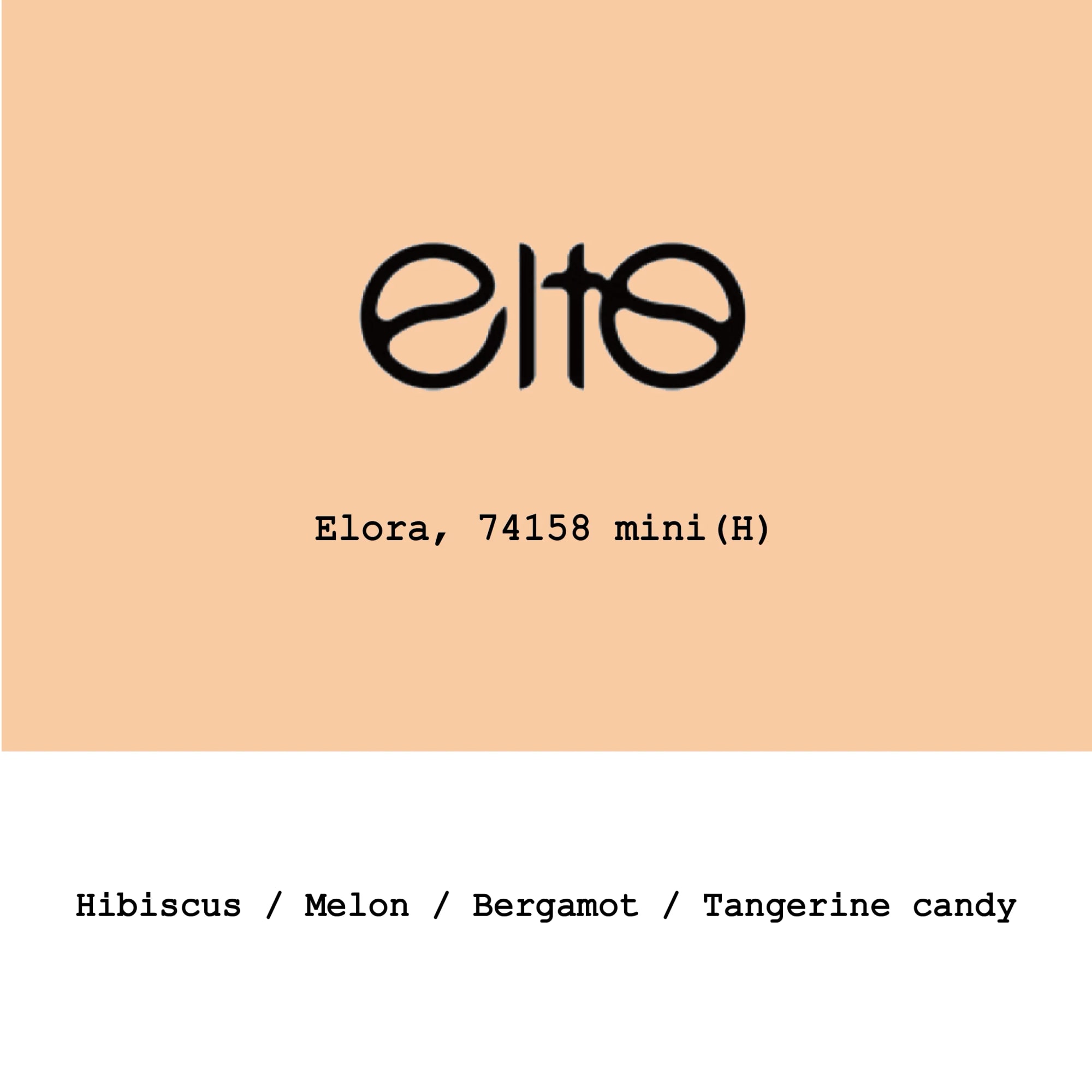 Ethiopia Elto Coffee Elora 74158 mini Honey - 100g