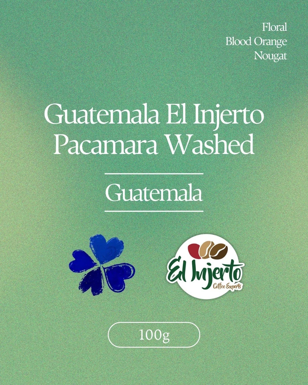 Guatemala El Injerto Pacamara - 100g
