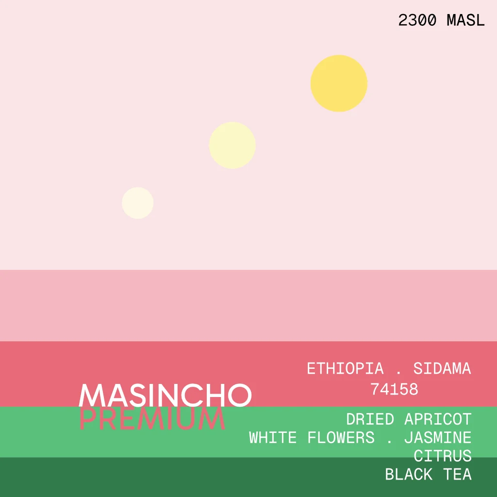 Masincho Premium Washed - 100g